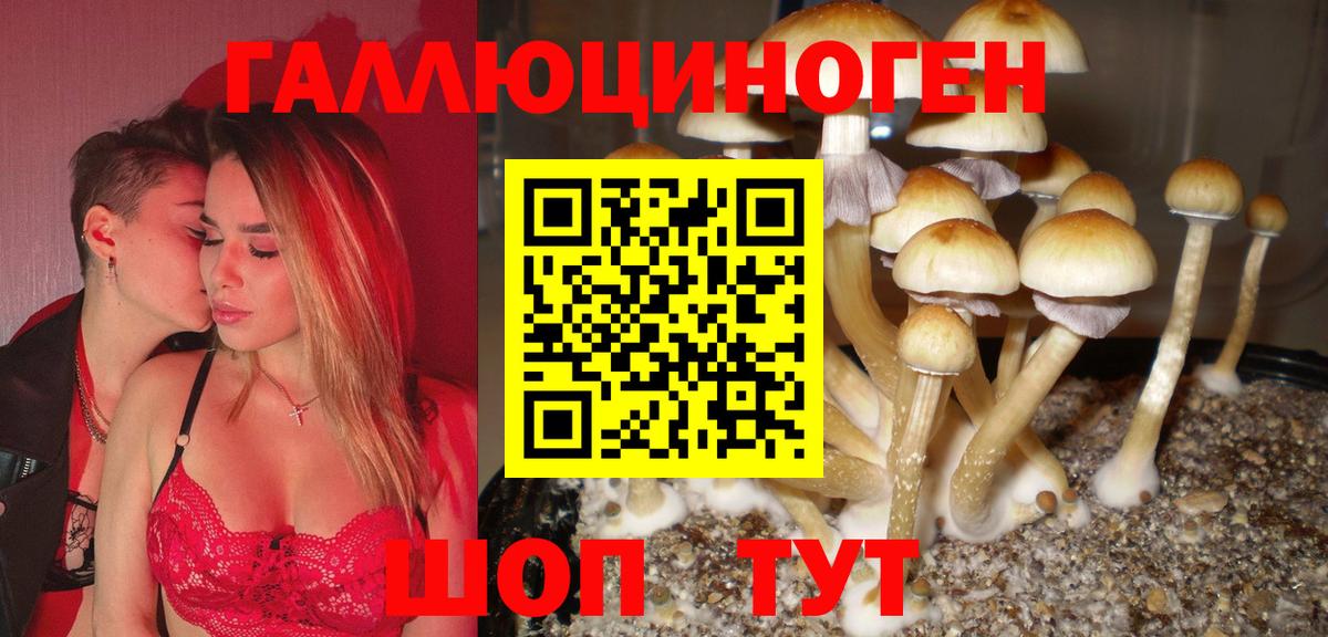 Галлюциногенные грибы мухоморы  Вход с VPN  наркошоп  Дагестанские Огни 