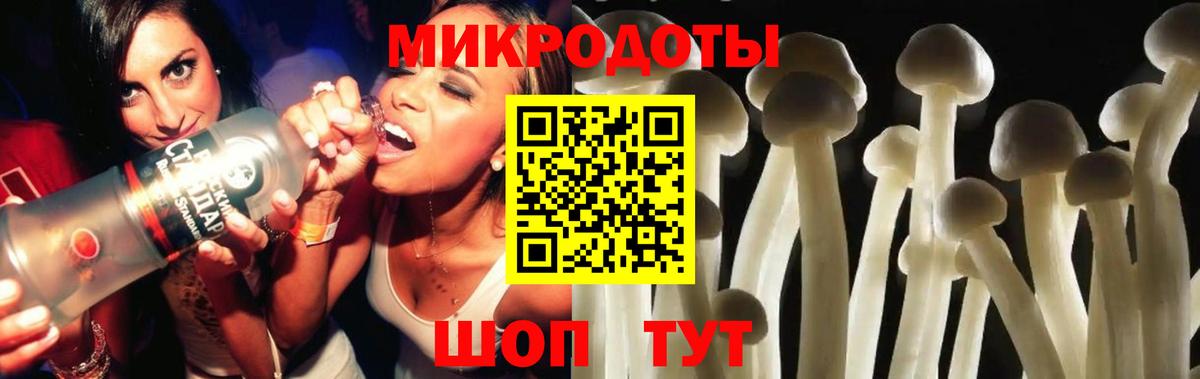 Псилоцибиновые грибы мицелий Дагестанские Огни